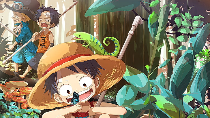 anime, One Piece, Wallpaper HD