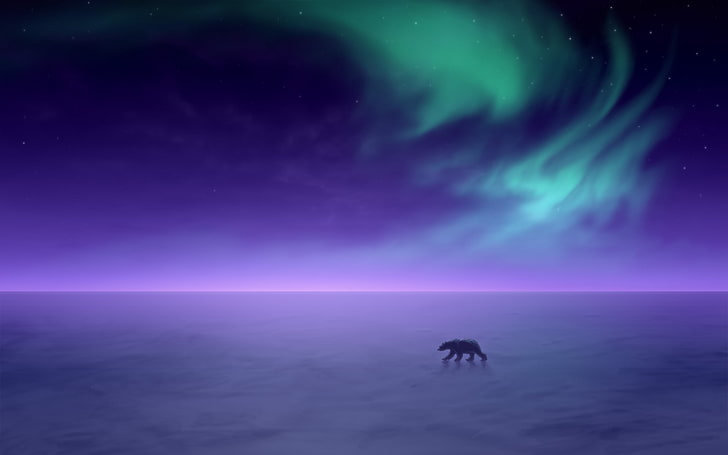 Aurora Borealis, norrsken, horisont, isbjörn, HD tapet
