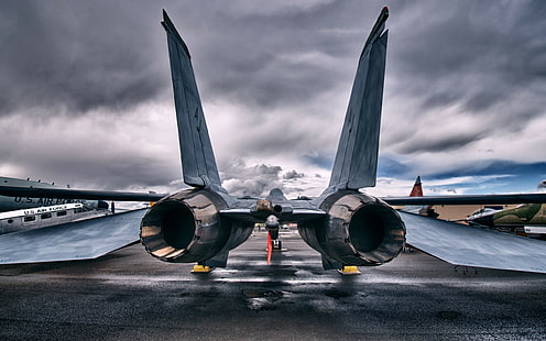 Flugzeuge, Düsenjäger, Grumman F-14 Tomcat, grauer Kampfjet, Flugzeuge, Düsenjäger, Grumman F-14 Tomcat, HD-Hintergrundbild HD wallpaper