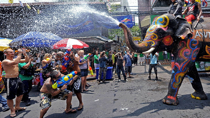 група хора, празнуващи фестивал на улицата, Сонгкран, Тайландска Нова година, Тайланд, Воден фестивал, слон, събитие, HD тапет