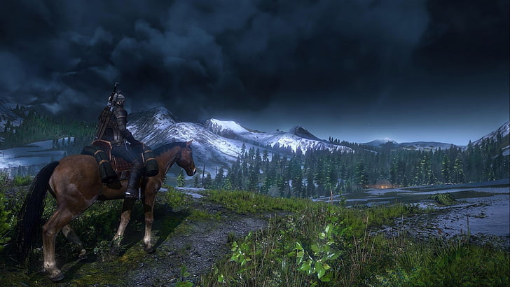The Witcher 3: Wild Hunt, mirando a lo lejos, Fondo de pantalla HD
