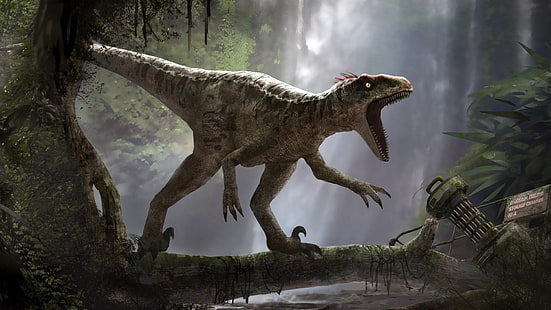 Парк Юрского периода, Динозавр, HD обои HD wallpaper