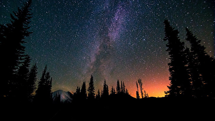 trees under stars wallpaper, landscape, night, trees, stars, Milky Way, mountains, forest, nature, long exposure, HD wallpaper
