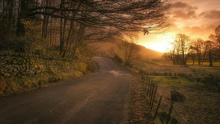 road, sunset, sky, countryside, tree, evening, rural area, landscape, HD wallpaper