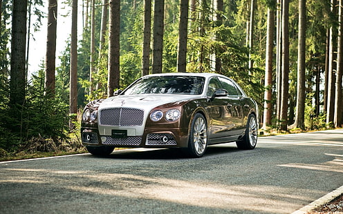 2014 Mansory Bentley Flying Spur, brown-and-white bentley flyin spur, mansory, bentley, 2014, flying, spur, cars, HD wallpaper HD wallpaper