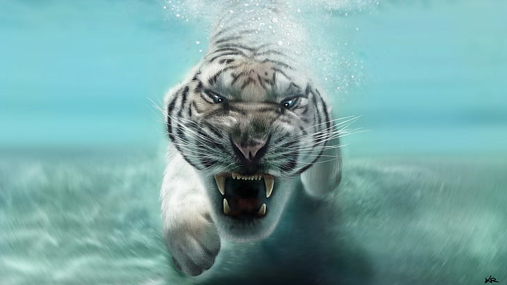 White tiger in water, Animal, predator, white tiger, water, face, mouth, teeth, HD wallpaper