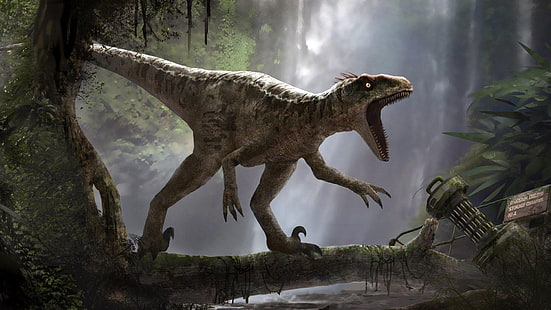 животные, динозавры, доисторические, велоцирапторы, HD обои HD wallpaper