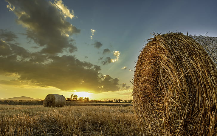 Hay Field Sunset Clouds HD, nature, clouds, sunset, field, hay, HD wallpaper