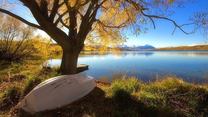 белая лодка, природа, пейзаж, осень, лодка, HD обои