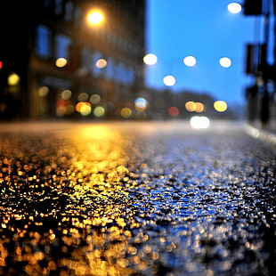 selective focus photography of concrete pavement, Starry Night, Rains, selective focus, photography, concrete, pavement, Chicago, Hurricane Isaac, moves, north, rain  storm, beautiful, happiness, intrigue, understanding, up close, poppin, raindrops, street, mojo, magic, reflections, puddles, smell, ocean in the air, Hits, night, defocused, traffic, urban Scene, car, city, abstract, blurred Motion, road, headlight, city Life, rain, backgrounds, illuminated, asphalt, street Light, HD wallpaper HD wallpaper