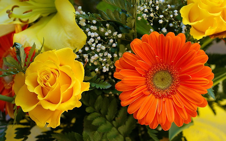 flores amarillas y anaranjadas, gerberas, rosas, gypsophila, bouquet, decoración, primer plano, Fondo de pantalla HD