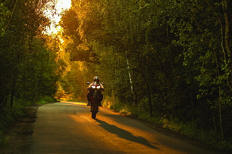 motocicleta roja y negra, motocicleta, naturaleza, Wheelie, puesta de sol, Honda cbr 1000 rr, carretera, bosque, Rusia, Fondo de pantalla HD HD wallpaper