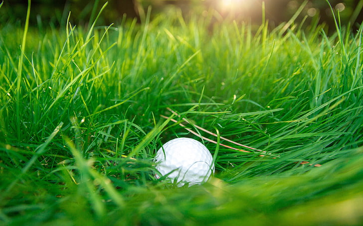 Green grassland golf sunshine 4k HD, HD wallpaper