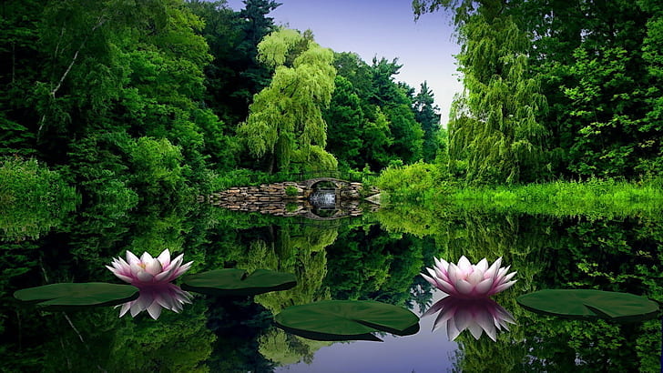 природа, водни лилии, езеро, градина, дървета, отражение, мост, HD тапет