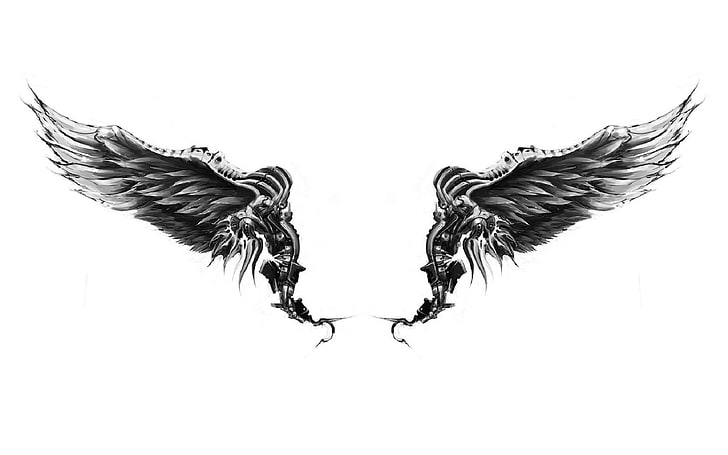 angels illustration, wings, white background, HD wallpaper