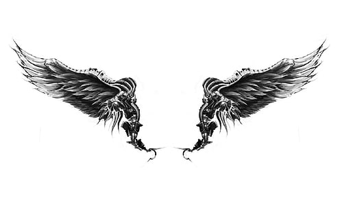 иллюстрация ангелов, крылья, белый фон, HD обои HD wallpaper