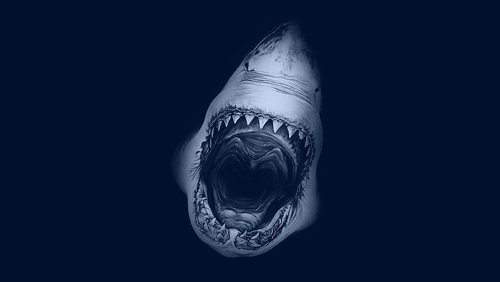 Grand requin blanc, Fond d'écran HD