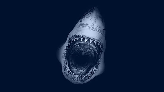 Grande squalo bianco, Sfondo HD HD wallpaper
