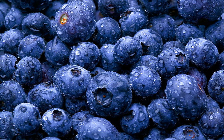 Fruits Blueberries, pile of blueberry, fruits, blueberries, HD wallpaper