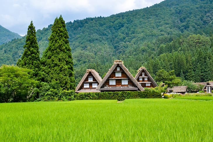 summer, landscape, nature, hills, home, Japan, town, forest, Kawaguchiko, HD wallpaper