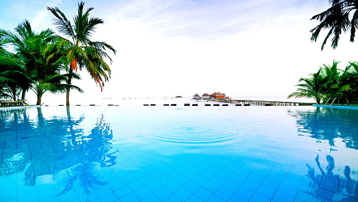 green coconut tree, swimming pool near green coconut trees, swimming pool, palm trees, water, universe, HD wallpaper