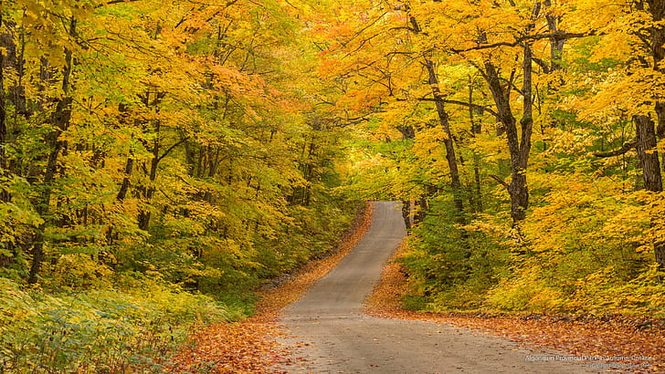 Провинциальный парк Алгонкин осенью, Онтарио, осень, HD обои