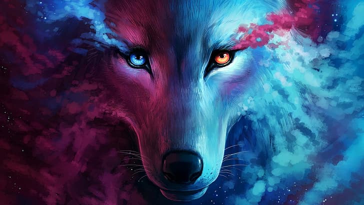 wolf, pink, blue, orange, HD wallpaper