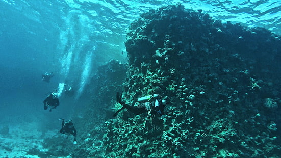 sous-marin, eau, marin, mer, plongée sous-marine, récif de corail, plongée sous-marine, récif, plongée, océan, apnée, hurghada, corail, egypte, afrique, Fond d'écran HD HD wallpaper