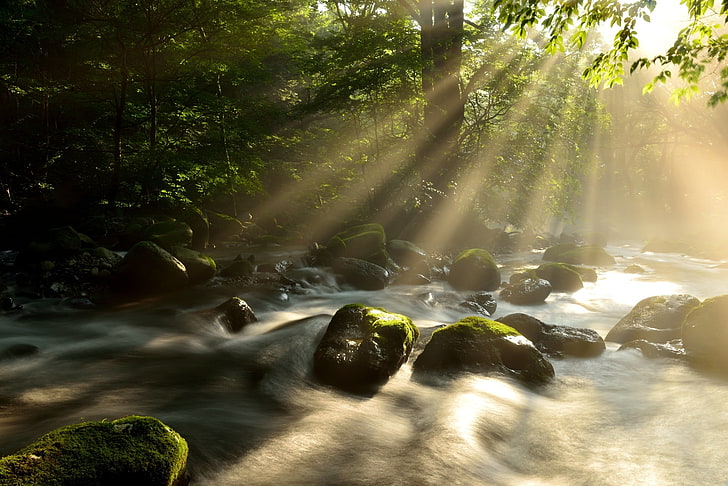 Natur, Wasser, Sonnenstrahlen, Fluss, HD-Hintergrundbild