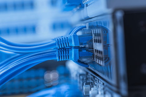 blue ethernet cable plus, server, maschine, computer, hardware, netzwerk, LAN, HD-Hintergrundbild HD wallpaper