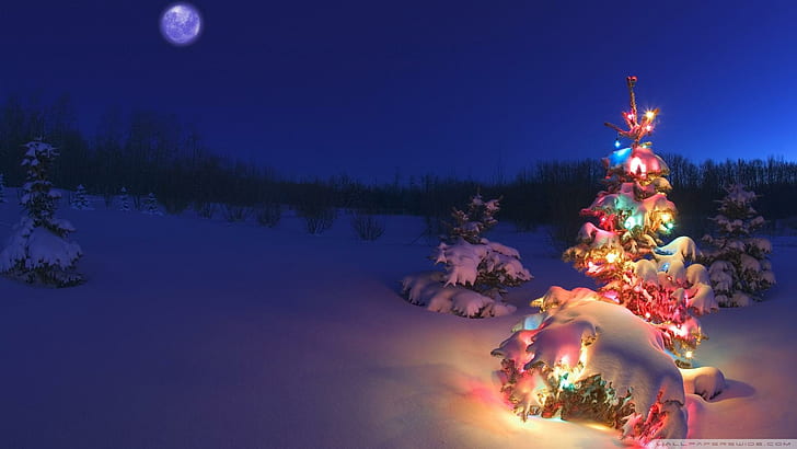 New Years Eve In Nature, trees, mountain, lights, christmas, winter, moon, nature and landscapes, HD wallpaper