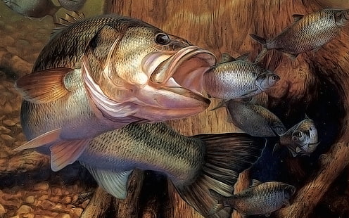 риболов 1440x900 Животни Риби HD Art, риболов, HD тапет HD wallpaper