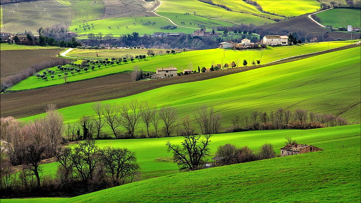 Italy, landscape, field, trees, hills, nature, green, HD wallpaper