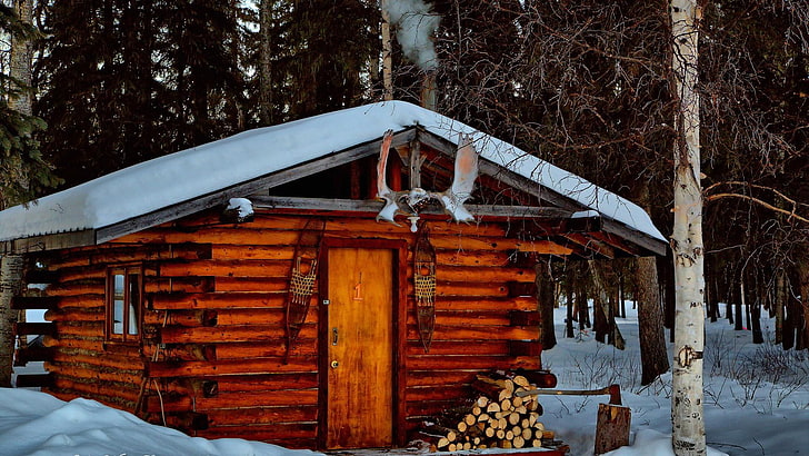 alaska, musim dingin, log kabin, rumah, gubuk, gubuk, pondok, rumah, pondok, kayu, pohon, pembekuan, salju, Wallpaper HD