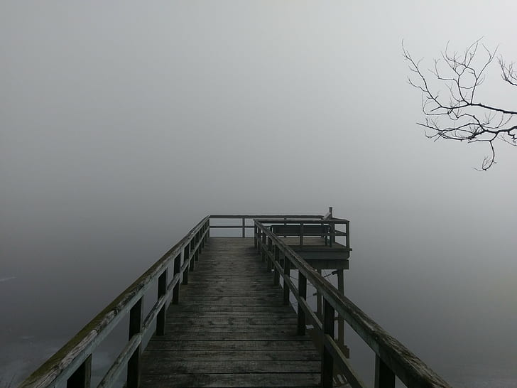 brown wooden dock, point pelee, point pelee, Point Pelee, this morning, It's hard, waterfowl, dock, fog, wetlands, ponds, nature, wood - Material, sea, outdoors, HD wallpaper