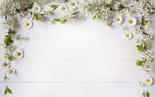 Texture, green, frame, flower, white, daisy, wood, card, HD wallpaper HD wallpaper