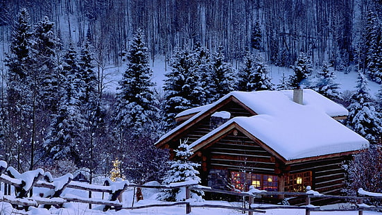 Christmas, snow, pine trees, cabin, HD wallpaper HD wallpaper