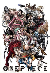 anime, Roronoa Zoro, One Piece, Hukum Trafalgar, Monkey D. Luffy, Wallpaper HD HD wallpaper