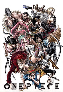 One Piece digital wallpaper, One Piece, anime, Roronoa Zoro, Trafalgar Law, Monkey D. Luffy, HD wallpaper HD wallpaper