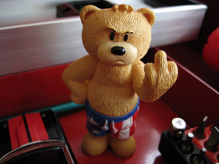 teddy bears middle finger 3072x2304  Animals Bears HD Art , TEDDY BEARS, middle finger, HD wallpaper