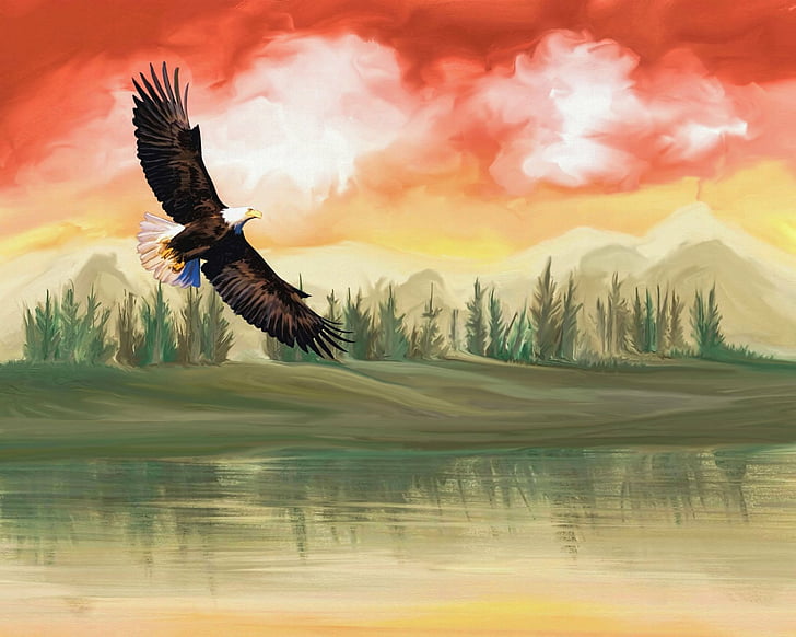 Pájaros, águila calva, ilustraciones, pájaro, paisaje, pintura, Fondo de pantalla HD