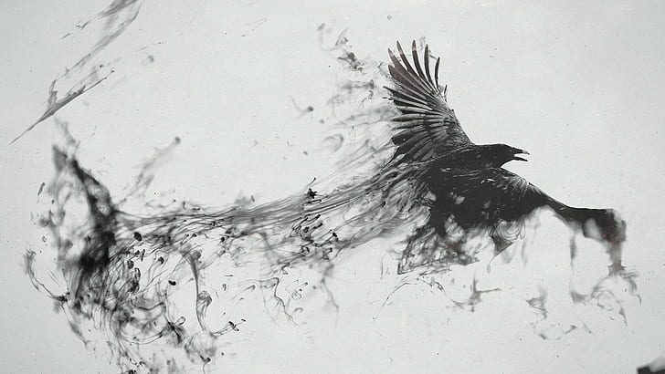 Raven, Bird, Flying, Smoke, Black white, HD wallpaper