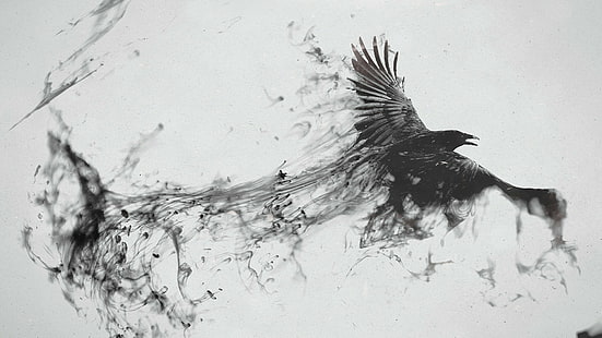 Corbeau, oiseau, voler, fumée, noir blanc, Fond d'écran HD HD wallpaper
