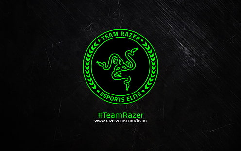 Razer logo, Razer, Fondo de pantalla HD HD wallpaper