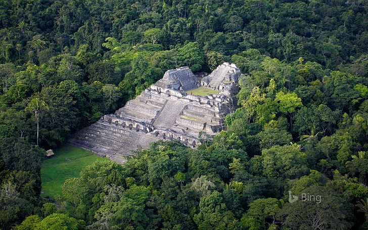 Maya archaeological site of Caracol Belize-2017 Bi.., HD wallpaper