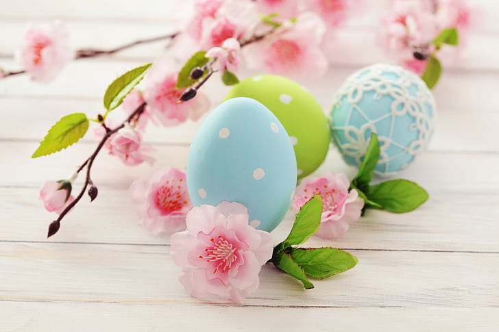 Eier, Blumen, Ostern, Zweig, HD-Hintergrundbild