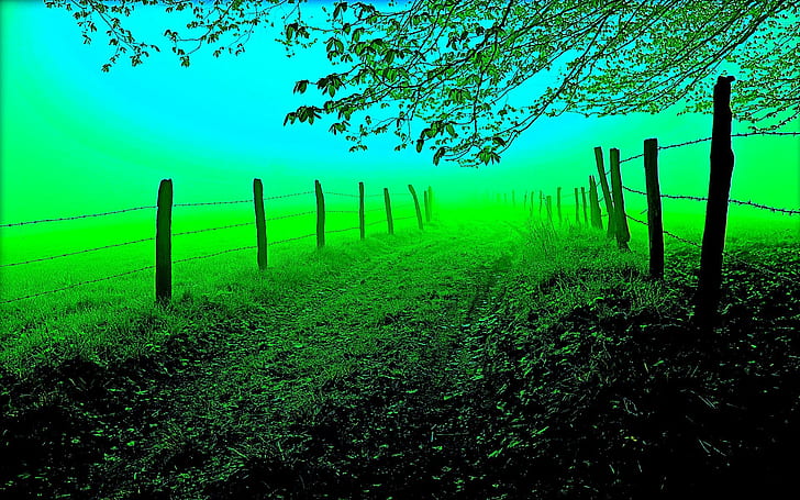 Это Это Правильный Путь, зеленое поле, путь, дерево, трава, зеленый цвет, свечение, ограждение, 3d и аннотация, HD обои