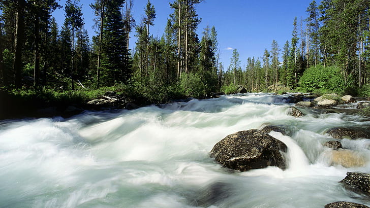 Redfish Creek, Idaho, natur, snabb, grön, stenar, vatten, träd, skog, dagsljus, blå, flod, bäck, natur och l, HD tapet