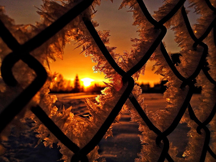 black hog wire, fence, ice, snow, winter, silhouette, nature, sunset, frost, HD wallpaper