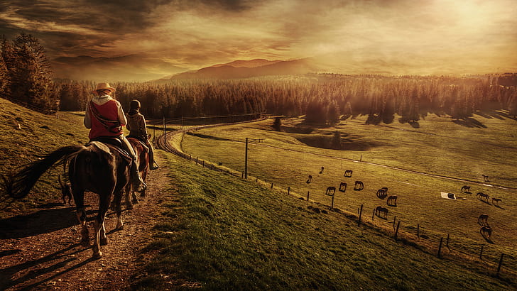 field, forest, animals, landscape, people, trail, horse, horizon, pasture, hill, railroad, riders, highlands, HD wallpaper